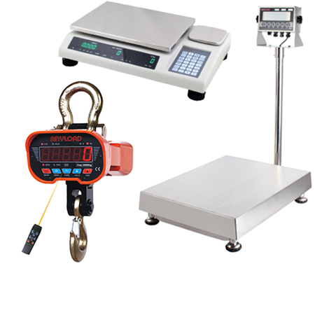 Anyload platform scales and crane scales